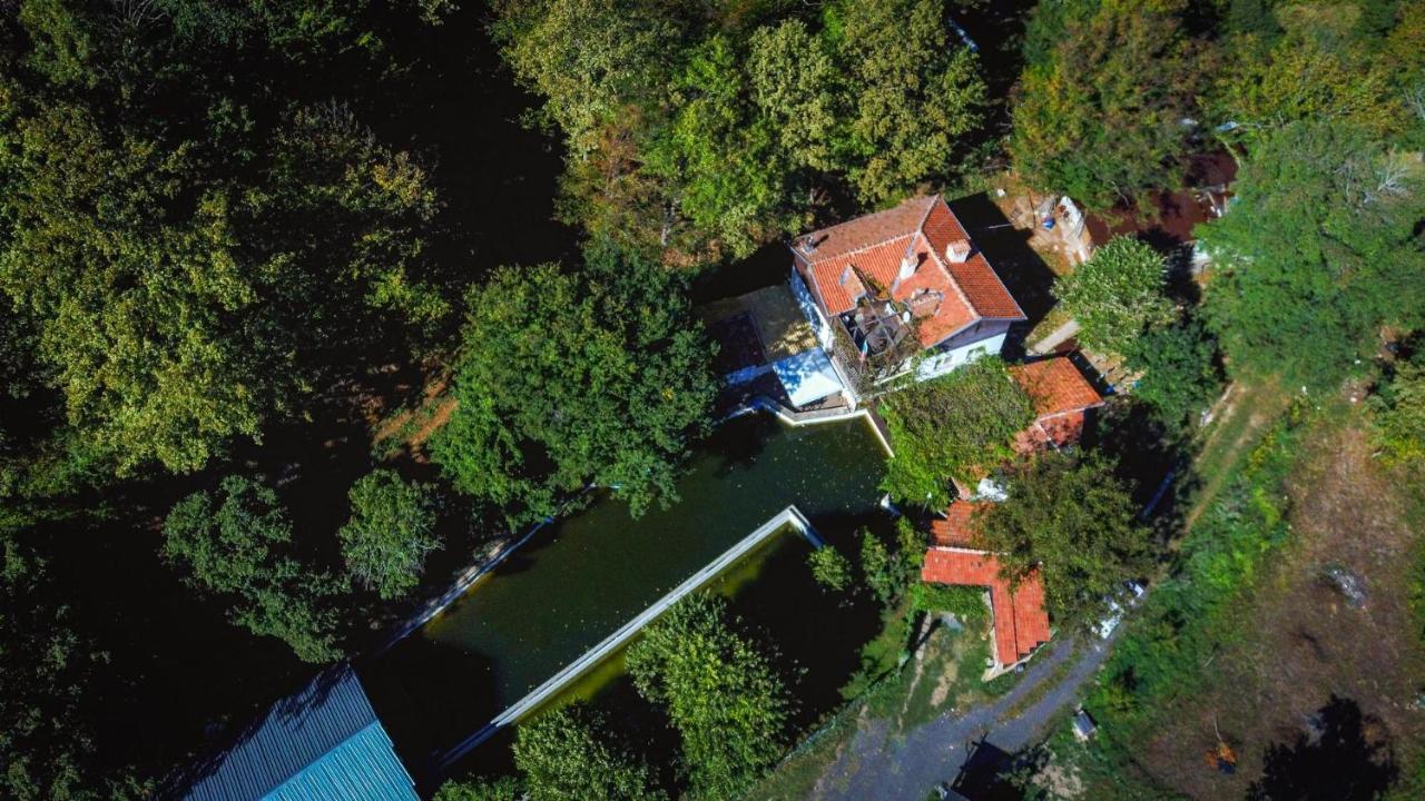 Рибарник Forest Мagic Topolitsa Exterior foto