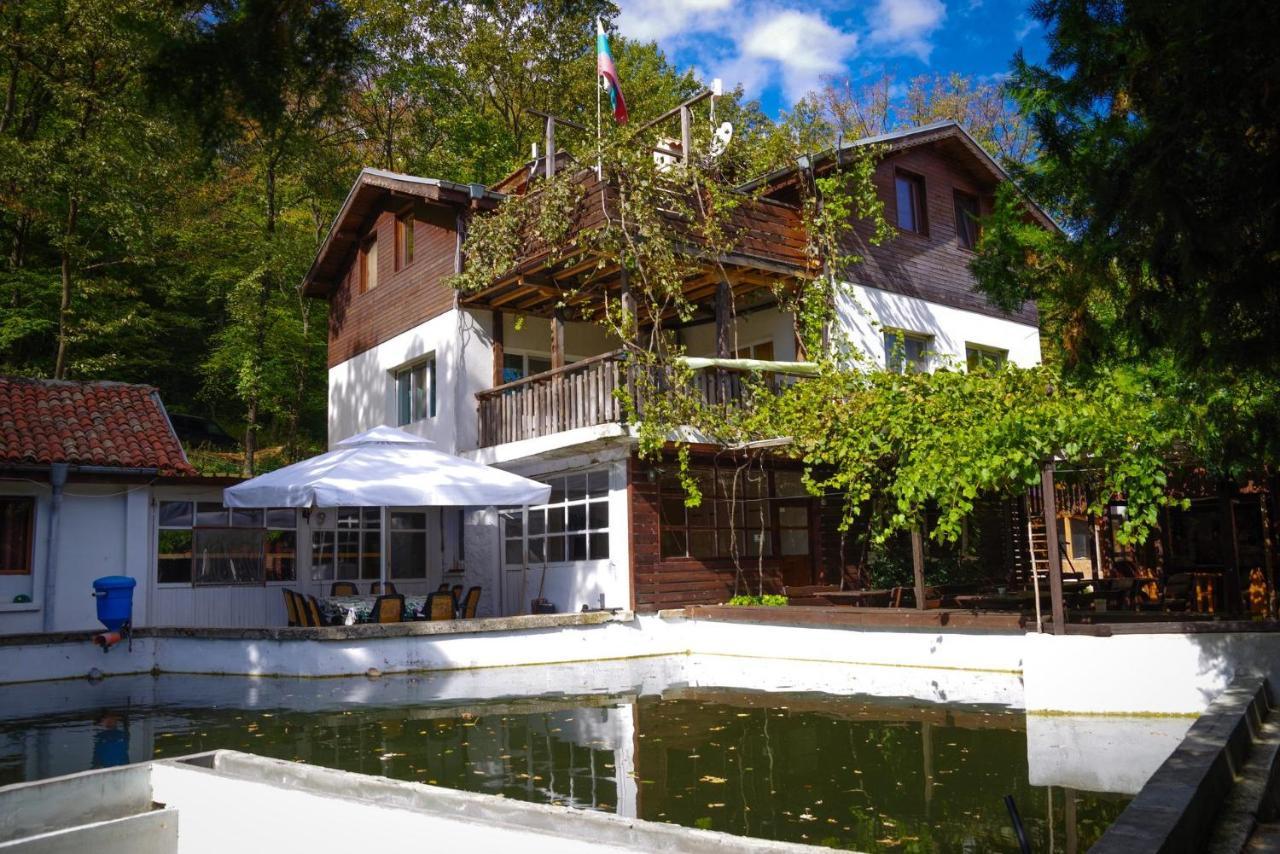 Рибарник Forest Мagic Topolitsa Exterior foto