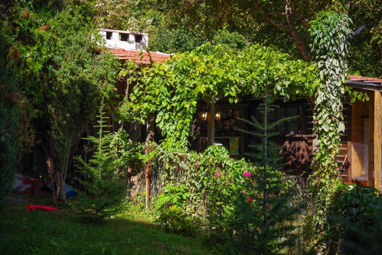 Рибарник Forest Мagic Topolitsa Exterior foto