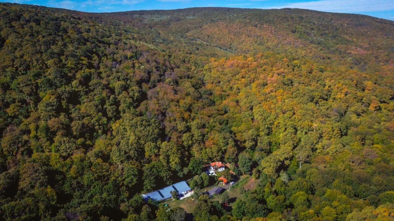 Рибарник Forest Мagic Topolitsa Exterior foto